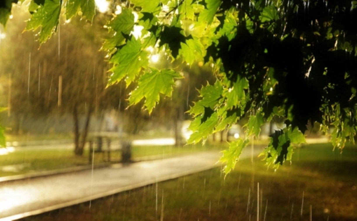 Погода в Туле 4 августа: летнее тепло и небольшой дождь