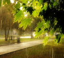 Погода в Туле 4 августа: летнее тепло и небольшой дождь