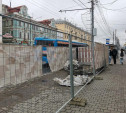 В Туле приступили к первому этапу озеленения проспекта Ленина