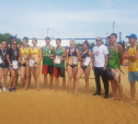 В Донском разыграли первенство ЦФО по пляжному волейболу
