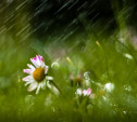 Погода в Туле 18 июня: дождь с грозой, ветер и до +28