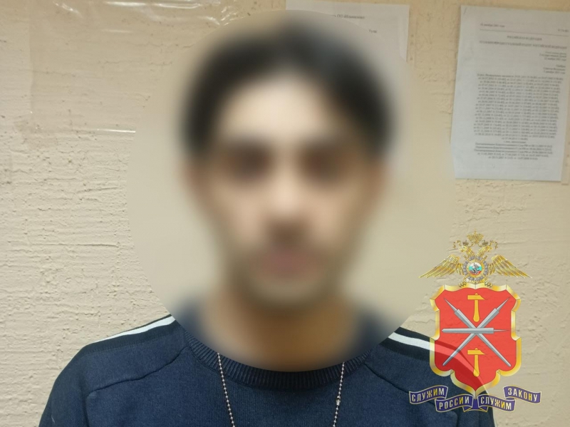 В Туле мужчина украл елочные игрушки, чтобы создать себе новогоднее настроение