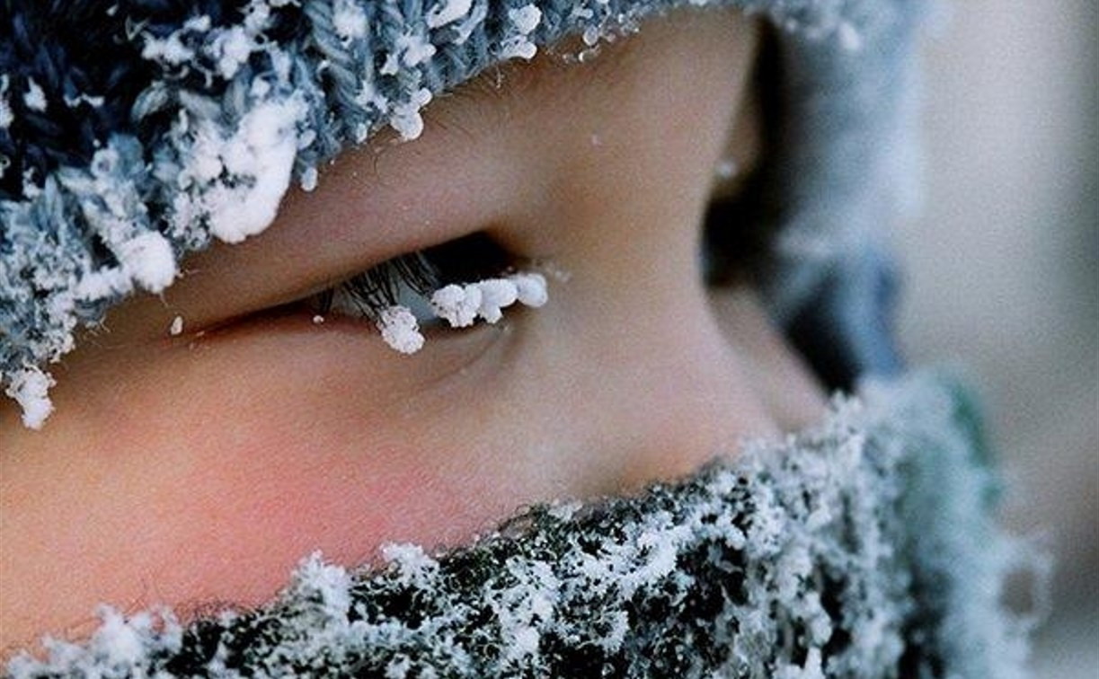 Погода в Туле 26 января: мороз и ветер