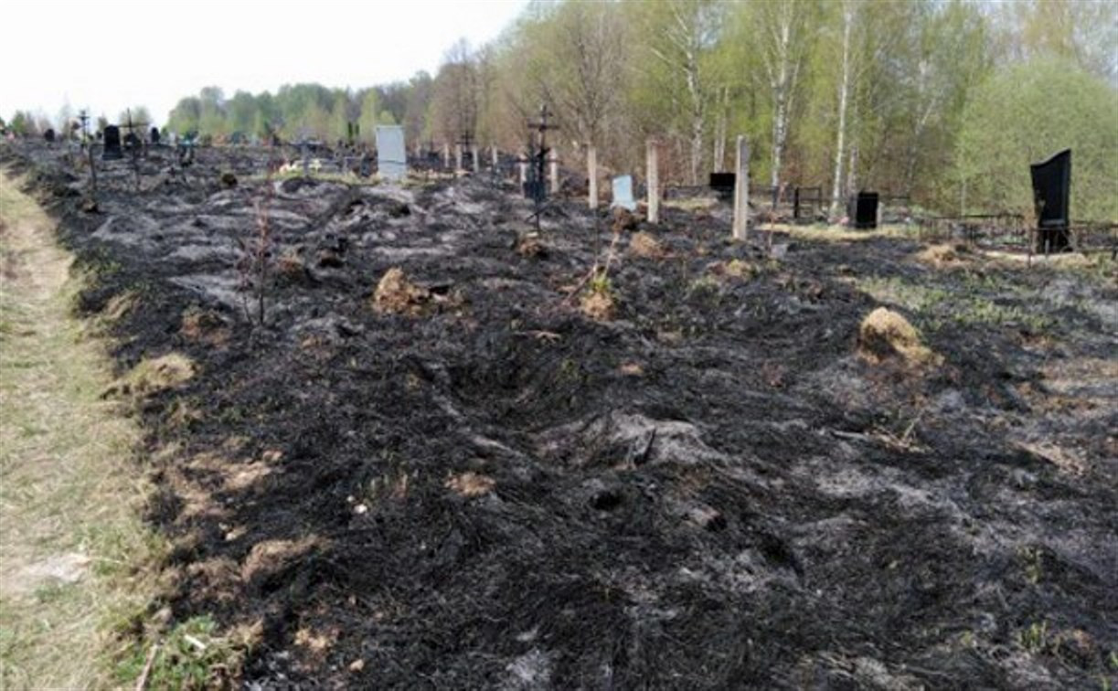 МЧС: на кладбище в Тульской области пожар повредил 20 могил