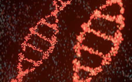 Жизнь Тулы и области