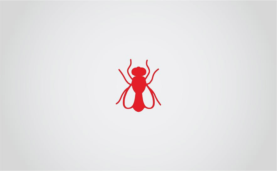 Жители Новомосковска снова пожаловались на неприятный запах