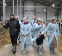В Тульской области на молочной ферме трудятся роботы