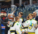 В Тульской области завершился детский Кубок по дворовому хоккею