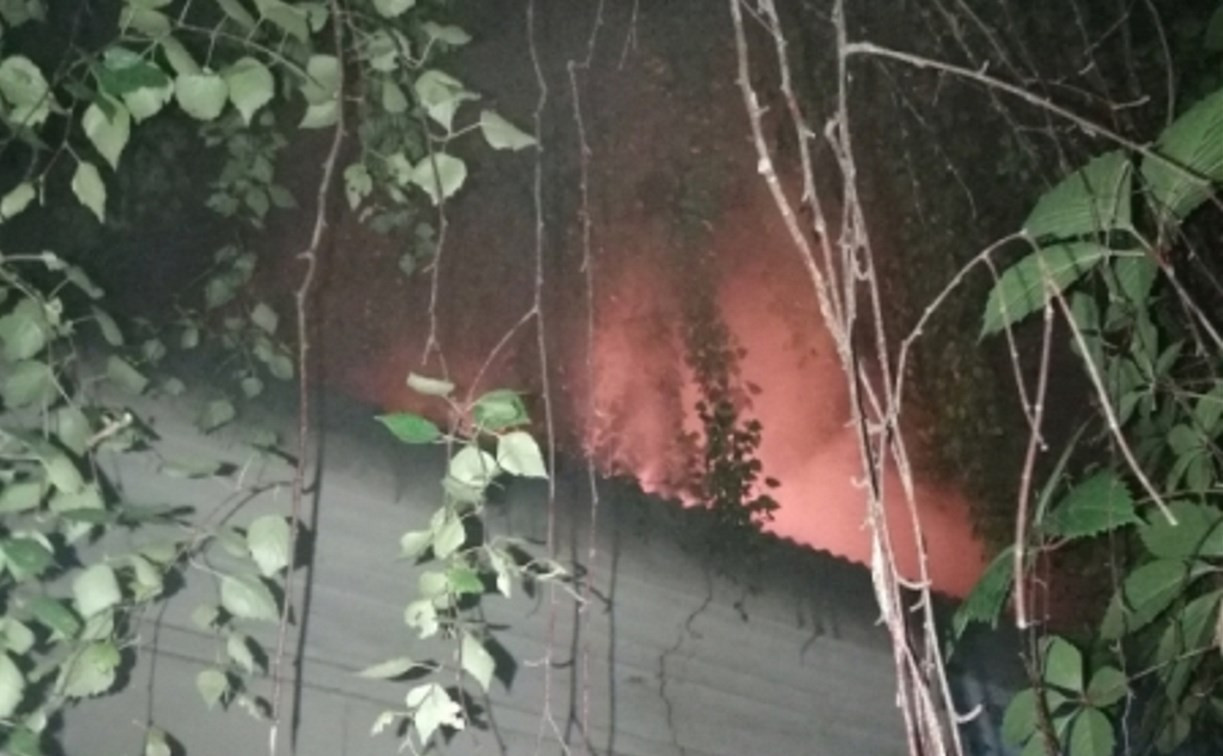 Пожар на улице Нормандии-Неман в Туле тушили 12 человек