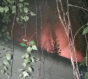 Пожар на улице Нормандии-Неман в Туле тушили 12 человек