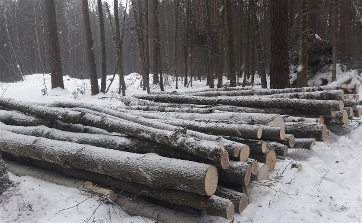 Жители Алексина благодарят полицейских за борьбу с лесными браконьерами