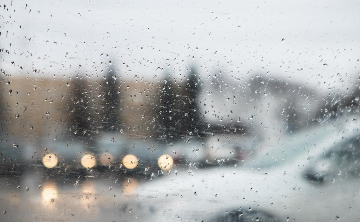 Погода в Туле 31 марта: дождливо, скользко и до +8