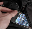 Подросток украл телефон у посетителя Белоусовского парка
