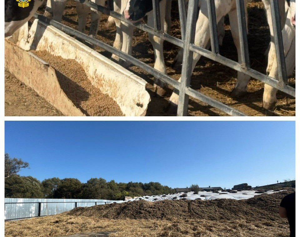 В Новомосковске дожди превратили улицы в реки из коровьего навоза