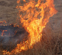С 7 апреля в лесах Тульской области объявлен пожароопасный сезон