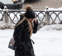 После снегопадов в Центральную Россию нагрянут морозы: уже в эти выходные