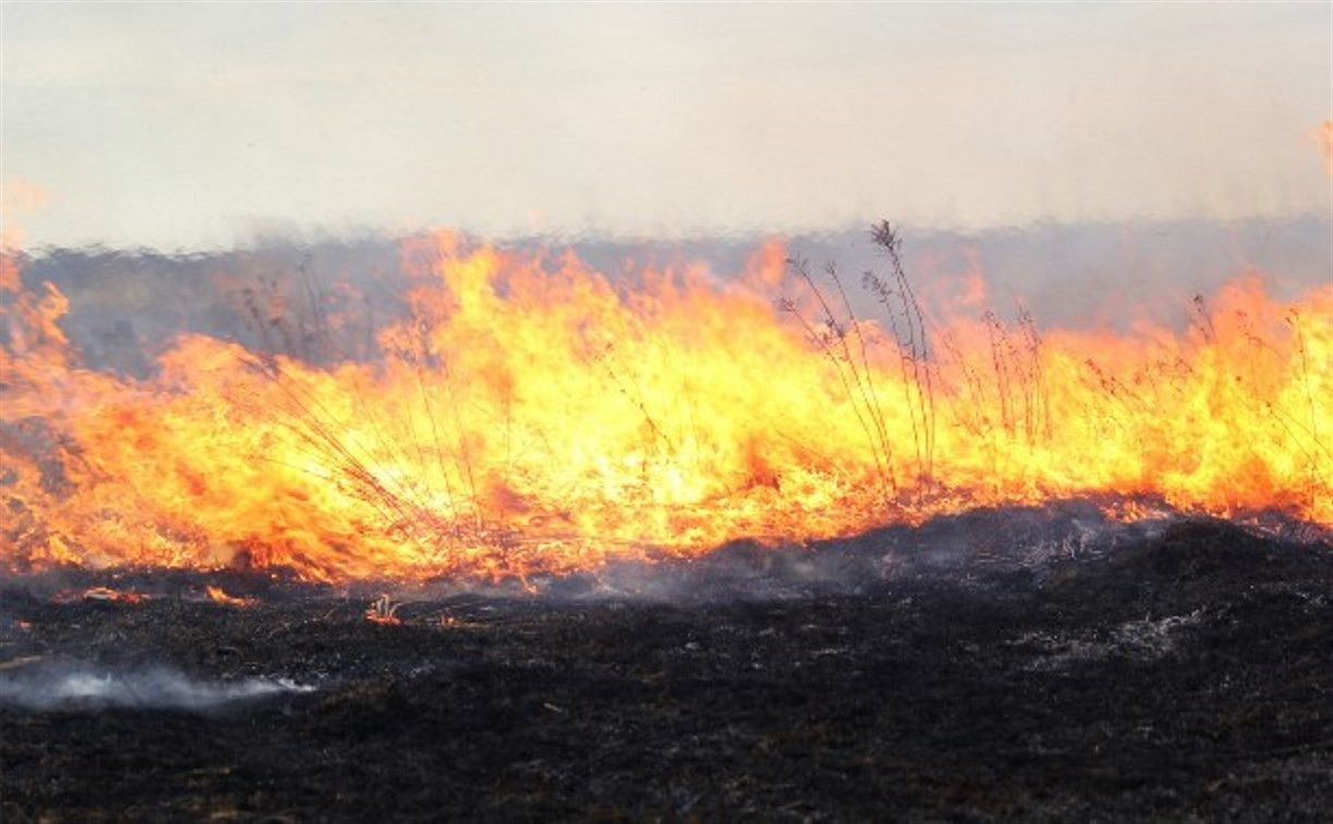 На выходных в Туле зафиксировали 61 случай поджога сухой травы