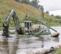 В Тульской области за 2,8 млн рублей расчистят реку Веневку