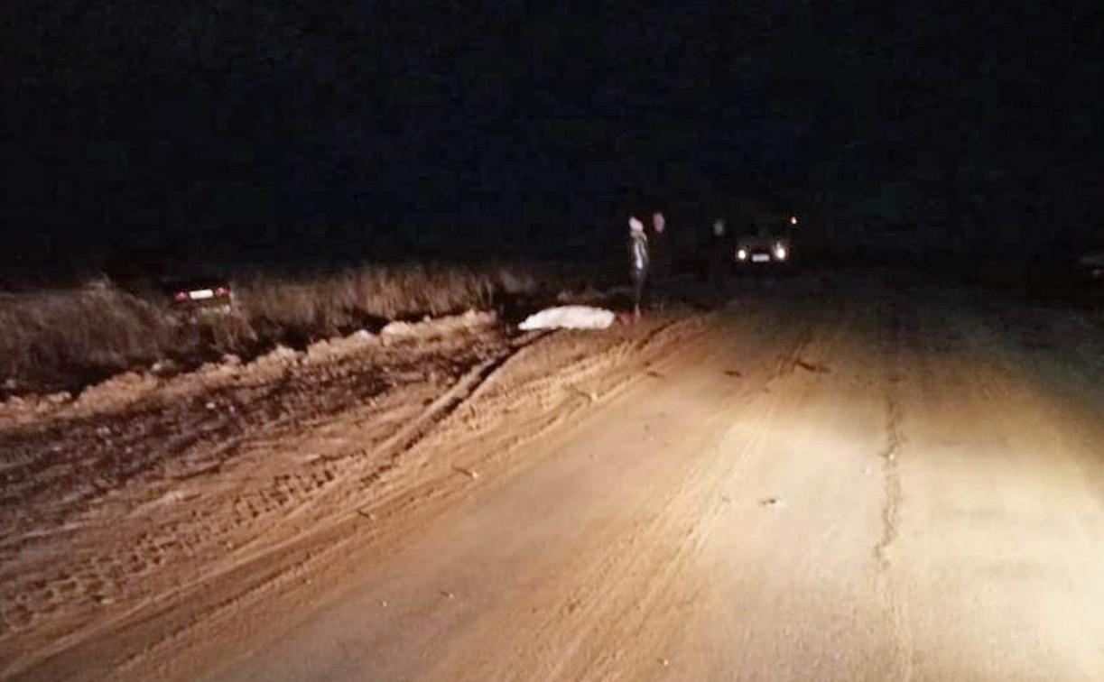 В Воловском районе пьяный водитель насмерть сбил пешехода