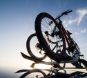 Туляк угнал велосипед и уехал на строгий режим 