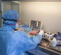 В Тульской области за сутки подтвердилось 58 случаев коронавируса