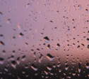 Погода в Туле: холодный ветер с дождём