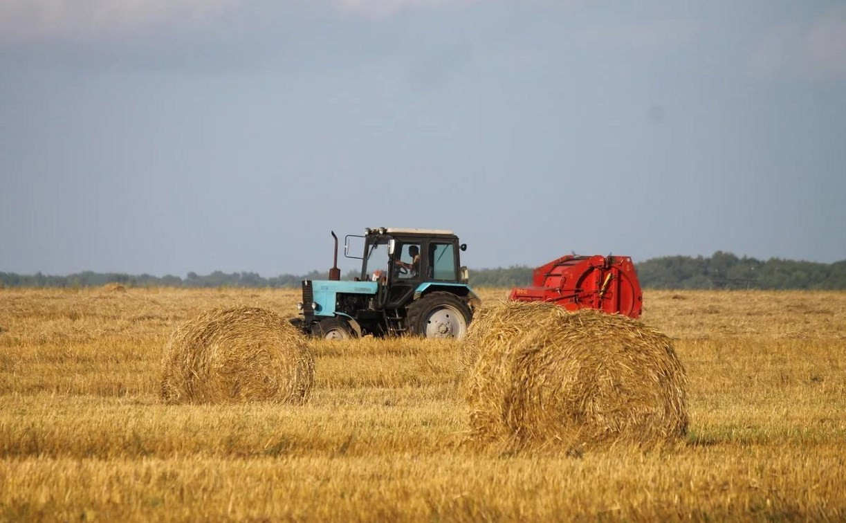 В Тульской области собрали более миллиона тонн зерна
