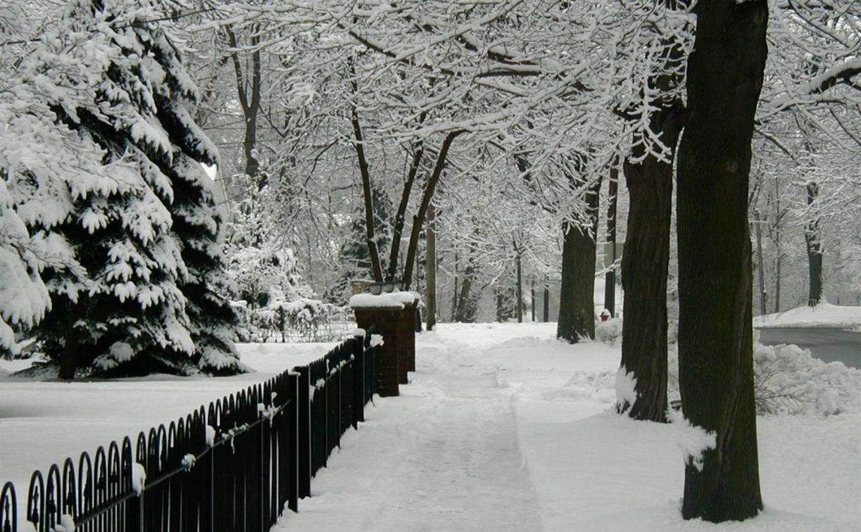 Погода на 5 января: минус семь и небольшой снег