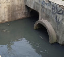 «Вода мутная, вонь на полрайона!»: тулячка пожаловалась на безобразное состояние Щегловского ручья