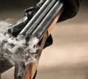В Туле пенсионер открыл стрельбу из ружья, чтобы распугать детей