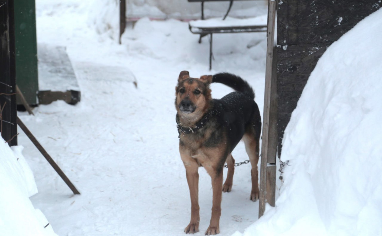 Краткосрочное потепление в Центральной России сменится возвращением морозов