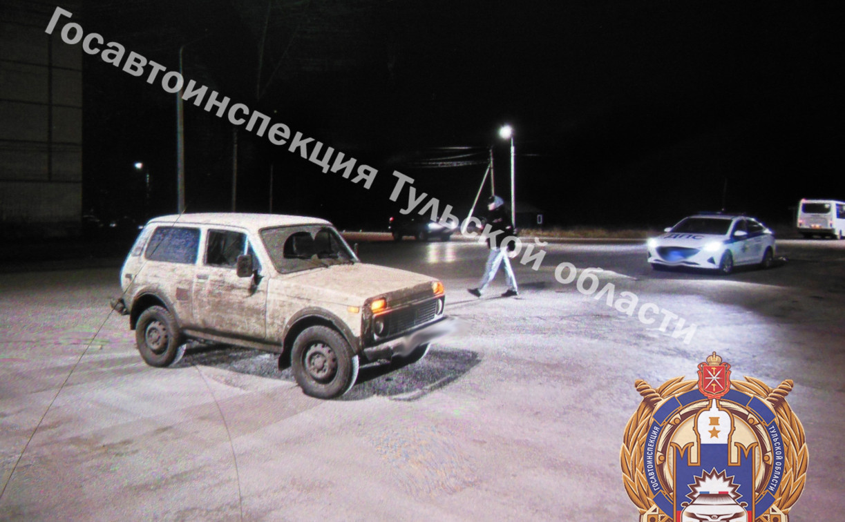 В Донском 22-летний парень сбил перебегавшую дорогу женщину 