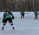 В куркинском парке состоялось открытие хоккейного сезона