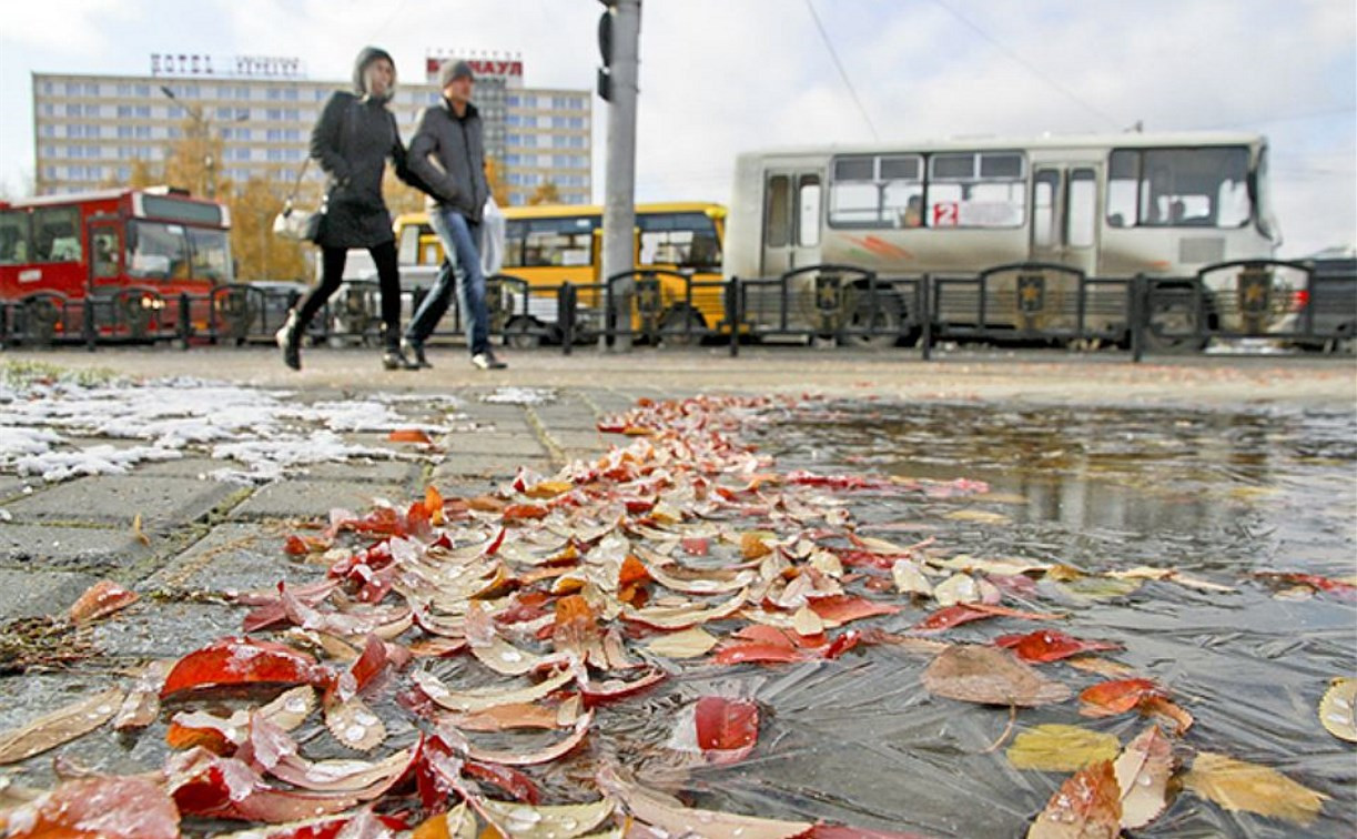 Погода в Туле 10 ноября: ночной мороз, облачность и без осадков