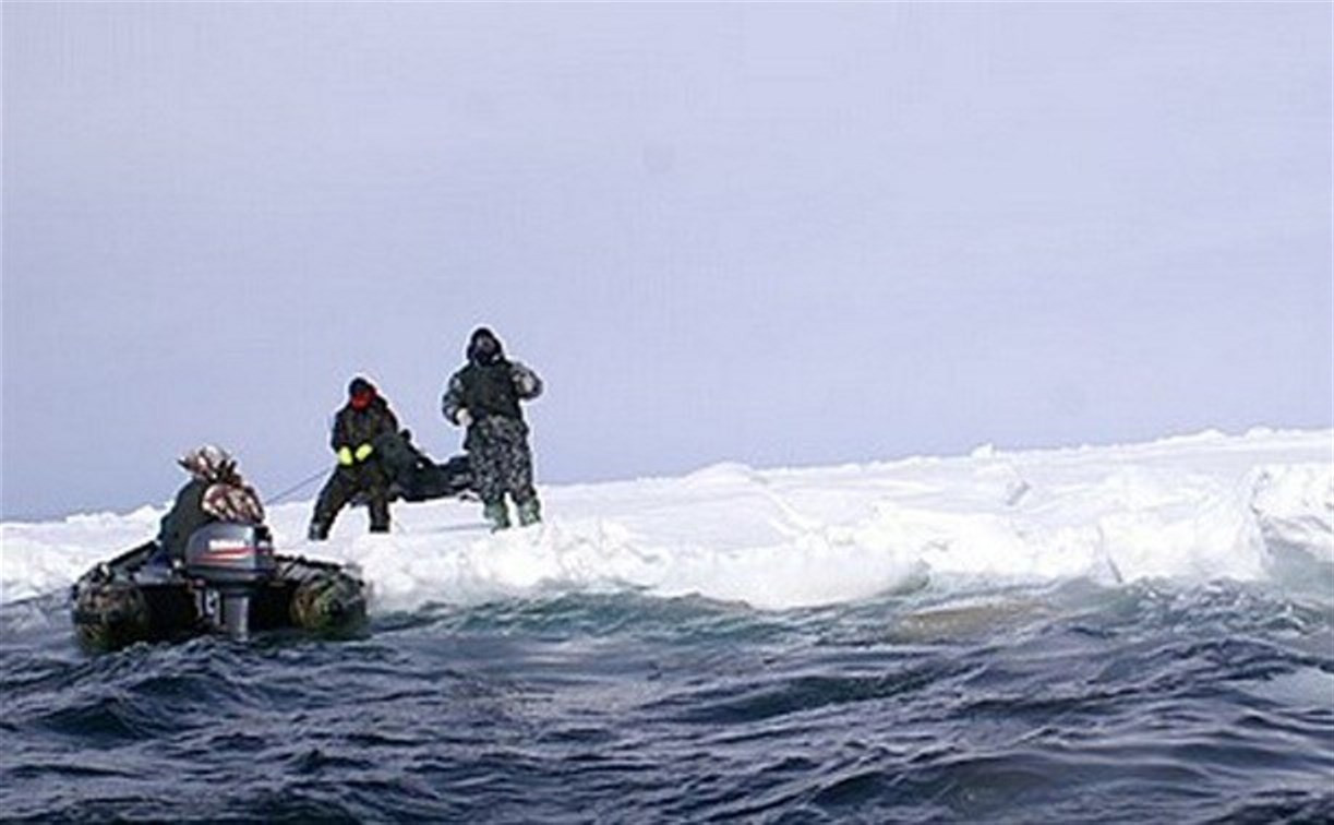 В Алексине двух рыбаков сняли с отколовшейся льдины