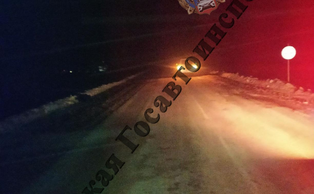 В Тульской области пьяный водитель «девятки» насмерть сбил двух мужчин