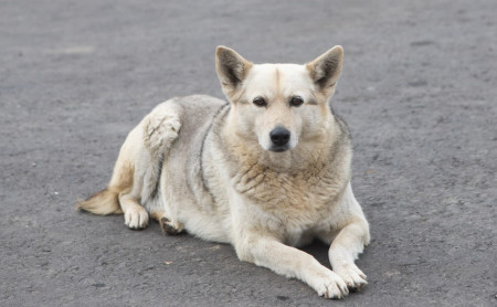 Жизнь Тулы и области