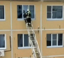 В Донском пожарные спасли застрявшего в приоткрытом окне кота: видео