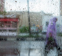 Погода в Туле 15 мая: сильный дождь с грозой и похолодание