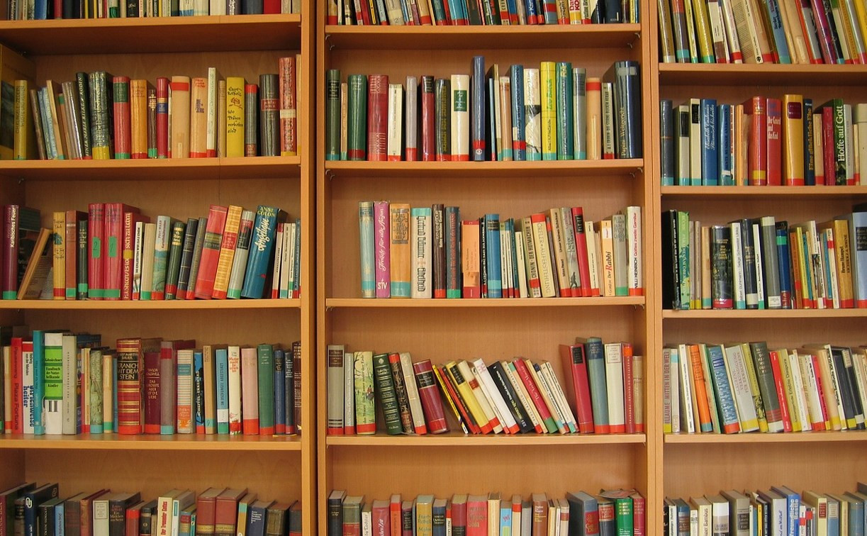 Тульские библиотеки приглашают за бесплатными книгами