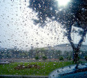 Погода в Туле 26 августа: дождь с грозой и ветер