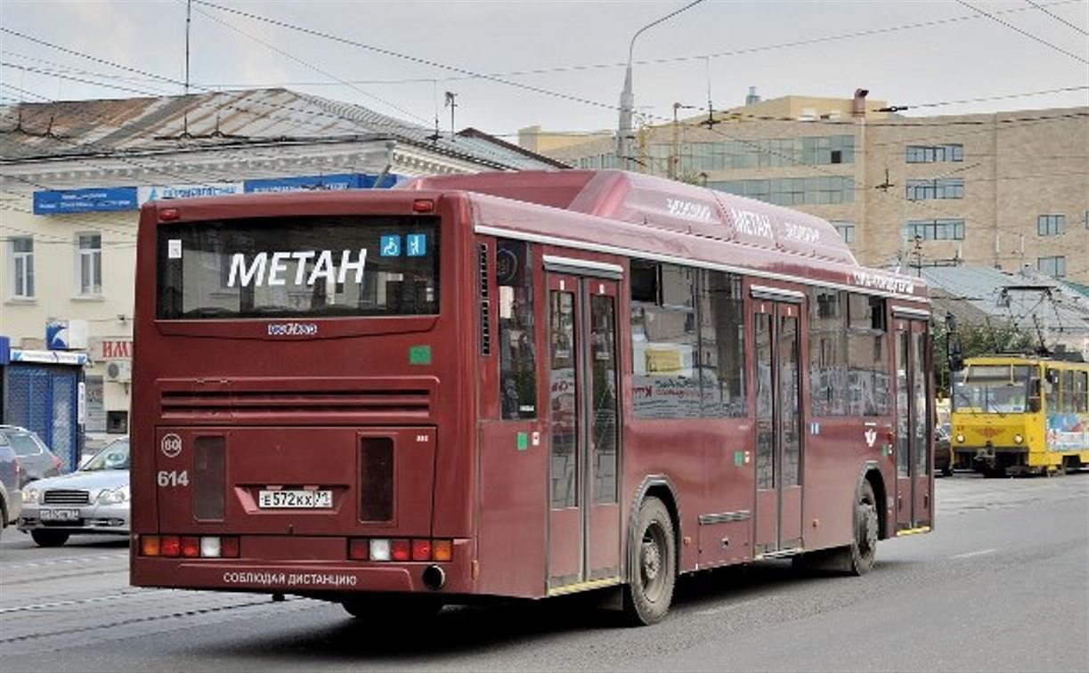 На улицы Тулы выйдут дополнительные автобусы