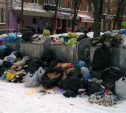 Администрация Тулы: семь городских УК не вывозят мусор и не убирают дворы