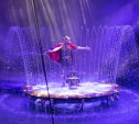 В Тулу приехал цирковой мюзикл на воде «Одиссея»