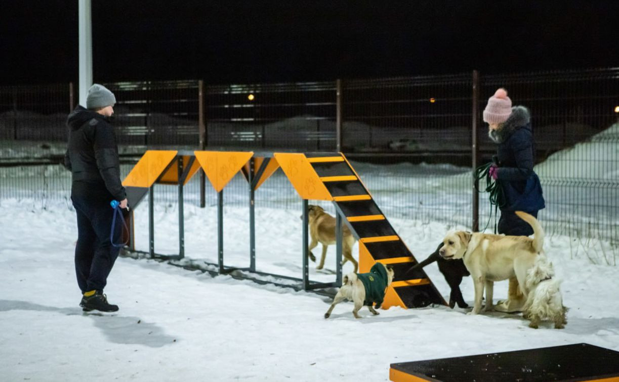 В Туле обустроят 5 новых площадок для выгула собак