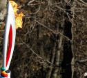 В Туле появится галерея олимпийского огня