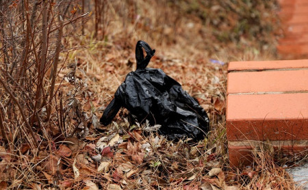 Жизнь Тулы и области