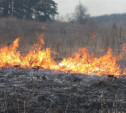 Рослесхоз предлагает увеличить штрафы за сжигание травы до 40 тысяч рублей