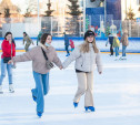 Где в Туле можно покататься на коньках