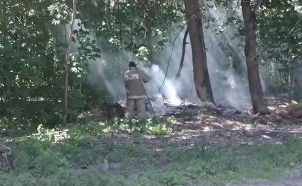 «Тут очагов сто уже!»: очевидцы сообщают о пожаре в городском парке Болохово